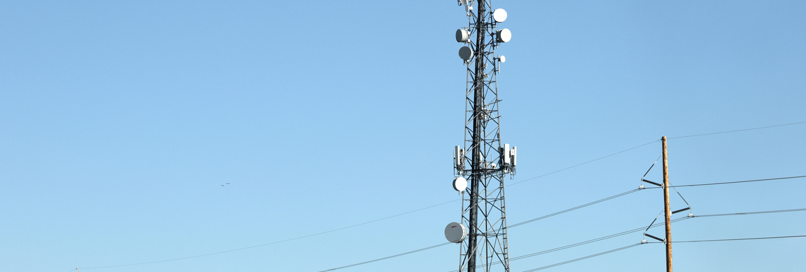 cell tower and transmission lines